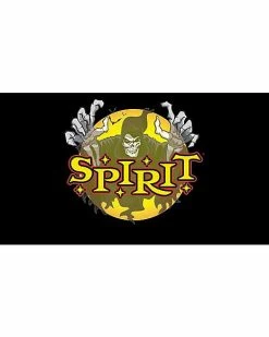 Best Pirce ⭐ Whirl-A-Motion LED Green Spiders Projection Spot Light 💯 -Gonesh shop 01306455 AVS