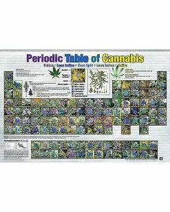 Best deal ⌛ Periodic Table of Cannabis Poster 🤩