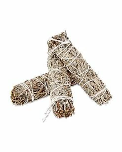 Best deal 💯 Mini Blue Sage - 3 Pack 💯