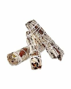 Wholesale 😍 Mini Black Sage - 3 Pack ⭐