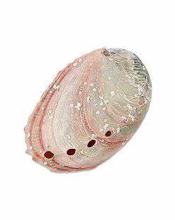 Wholesale 🥰 Sage Smudge Kit 😀 -Gonesh shop 03366754 d