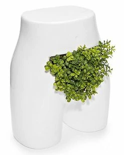 New 👏 Bush Planter 😉 -Gonesh shop 03487618 c