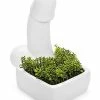 Buy ✔️ Penis Planter 💯