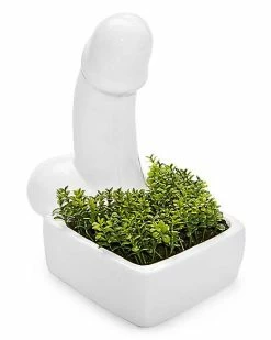 Buy ✔️ Penis Planter 💯