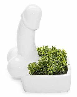 Buy ✔️ Penis Planter 💯 -Gonesh shop 03487634 c