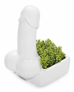 Buy ✔️ Penis Planter 💯 -Gonesh shop 03487634 d
