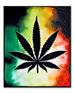 Hot Sale ⌛ Rasta Leaf Smoke Fleece Blanket ✨