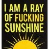 Brand new ⭐ Ray of Fucking Sunshine Fleece Blanket ⌛