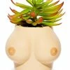 Brand new ❤️ Boobs Planter ✨