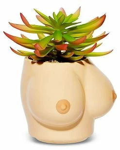 Brand new ❤️ Boobs Planter ✨ -Gonesh shop 03632262 b