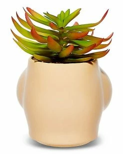 Brand new ❤️ Boobs Planter ✨ -Gonesh shop 03632262 c