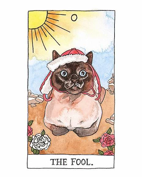 Discount 🔔 Cat Tarot Cards with Guidebook 👏 2 Discount 🔔 Cat Tarot Cards with Guidebook 👏 - Image 2