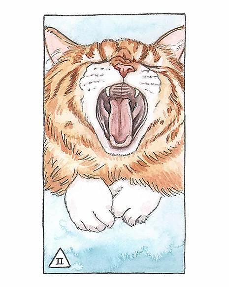 Discount 🔔 Cat Tarot Cards with Guidebook 👏 5 Discount 🔔 Cat Tarot Cards with Guidebook 👏 - Image 5