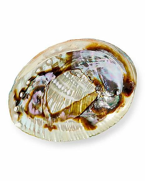 Best Pirce โญ Abalone Shell Smudge Bowl ๐ 1 Best Pirce โญ Abalone Shell Smudge Bowl ๐