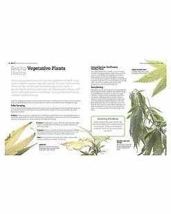 New ๐ Growing Marijuana Book โญ 5 New ๐ Growing Marijuana Book โญ -Gonesh shop 03739547 b