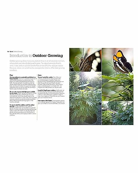 New ๐ Growing Marijuana Book โญ 4 New ๐ Growing Marijuana Book โญ - Image 4