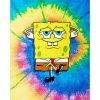 Promo 🔥 Tie Dye SpongeBob Tapestry 🔔
