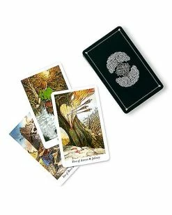Wholesale 💯 Wildwood Tarot Deck 🧨 -Gonesh shop 03759016 d