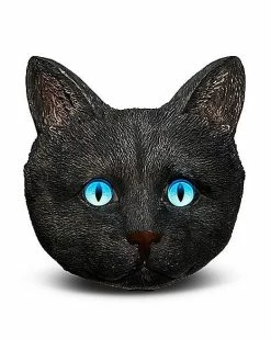 Best reviews of 🌟 Black Cat Ashtray ⌛