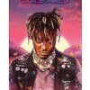 Hot Sale 🤩 Legends Never Die Poster - Juice WRLD 🔔