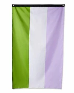 Cheapest 🤩 Genderqueer Flag 🛒