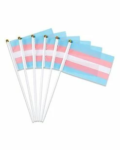 Promo 🎉 Transgender Pride Mini Flags - 6 Pack 🔥