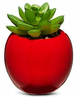 Cheapest 😉 Gloomy Bear Planter 🔔 5 Cheapest 😉 Gloomy Bear Planter 🔔 -Gonesh shop 03874781 c