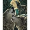 Best deal 🌟 Howling Wolves Poster 🤩