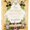 Top 10 🔥 The Antique Anatomy Tarot Cards and Guidebook ✔️