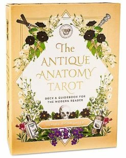 Top 10 🔥 The Antique Anatomy Tarot Cards and Guidebook ✔️