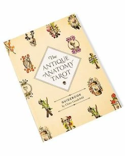 Top 10 🔥 The Antique Anatomy Tarot Cards and Guidebook ✔️ -Gonesh shop 03957065 d