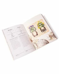 Top 10 🔥 The Antique Anatomy Tarot Cards and Guidebook ✔️ -Gonesh shop 03957065 e