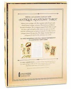 Top 10 🔥 The Antique Anatomy Tarot Cards and Guidebook ✔️ -Gonesh shop 03957065 g