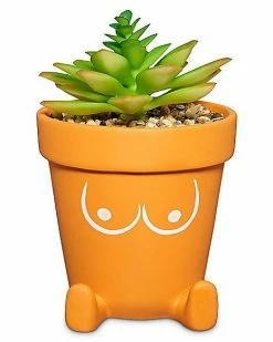 Budget 🔥 Boobies Planter 🛒
