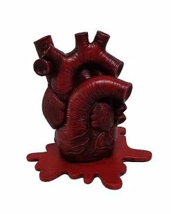 Cheap 👏 Anatomical Heart Incense Burner ⌛